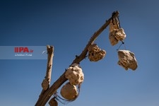   باغ سنگی در سیر جان 