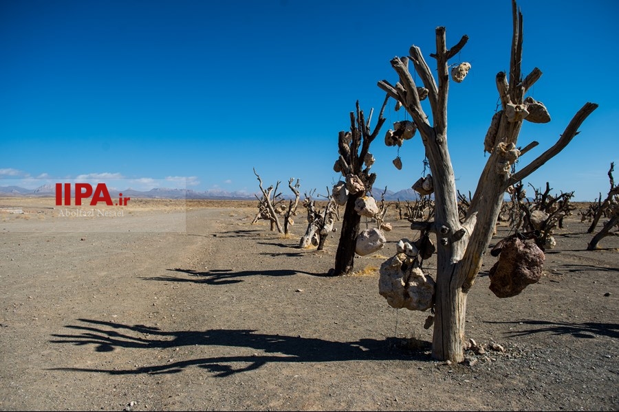   باغ سنگی در سیر جان 