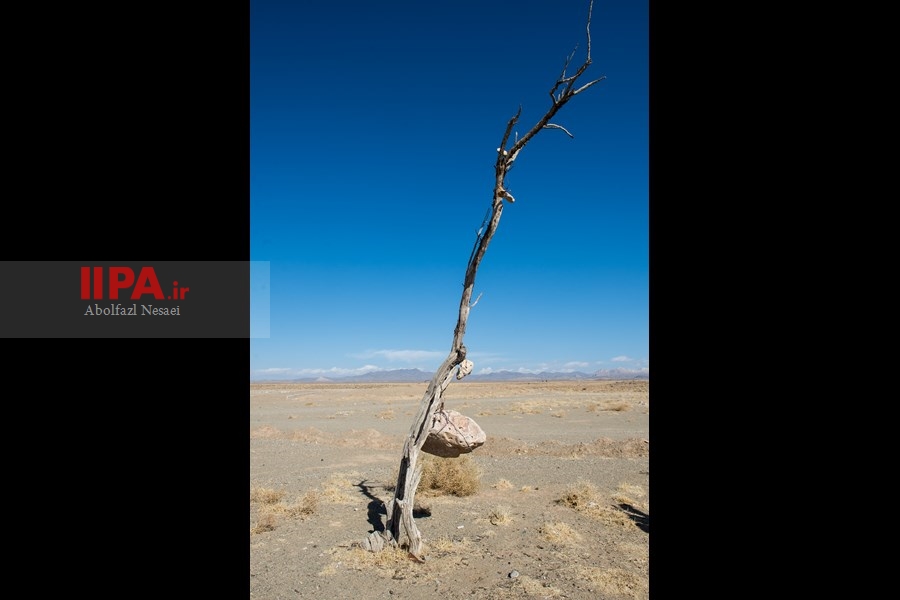   باغ سنگی در سیر جان 