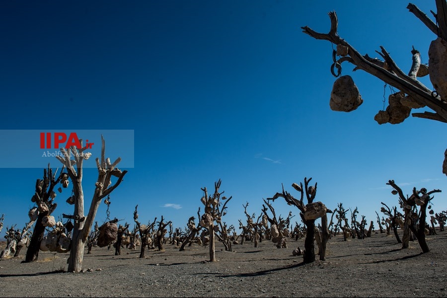   باغ سنگی در سیر جان 