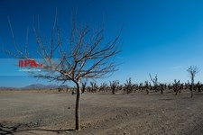  باغ سنگی در سیر جان 