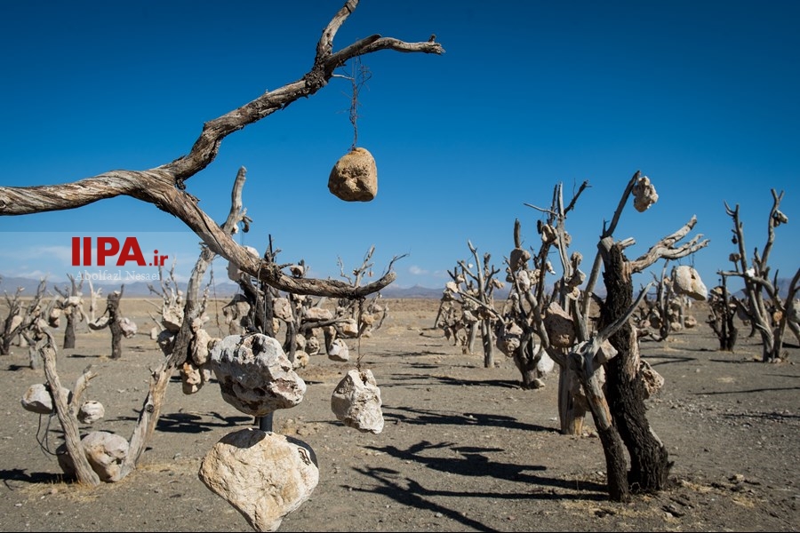   باغ سنگی در سیر جان 