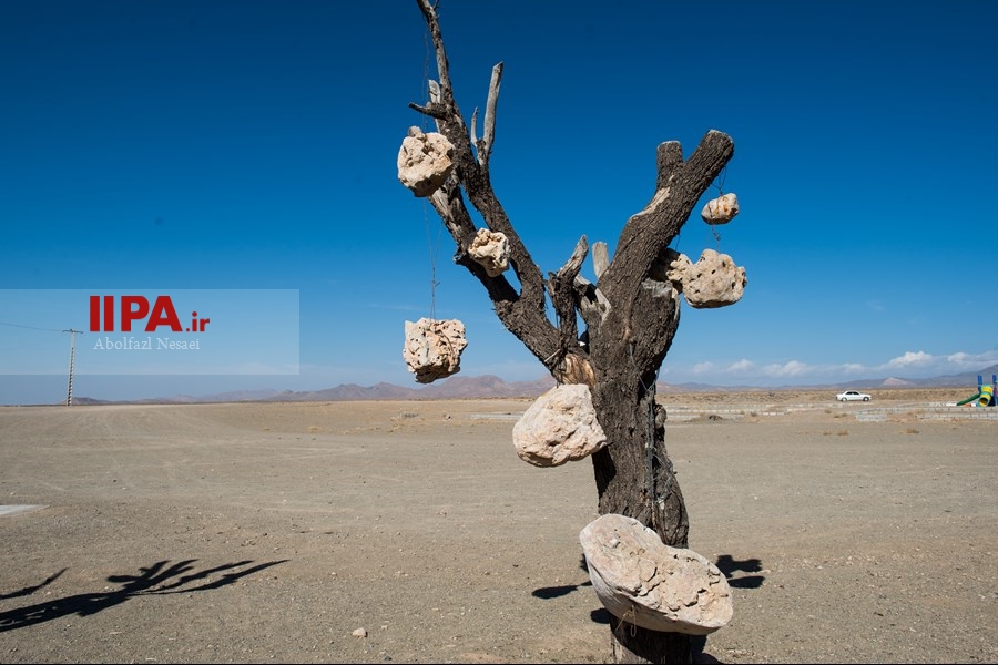  باغ سنگی در سیر جان 