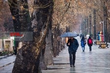   باران امروز در تهران