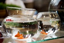   خرید شب عید در تهران