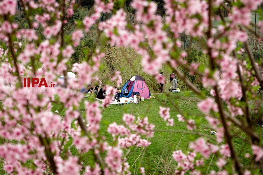   روز طبیعت در تهران