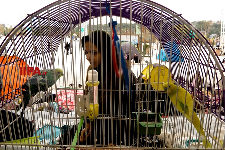   روز طبیعت در تهران