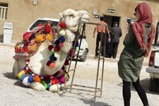   گردشگران خارجی در شیراز 
