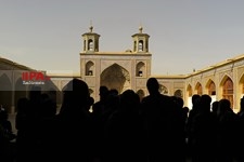  گردشگران خارجی در شیراز 